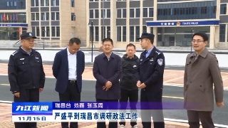 严盛平到瑞昌市调研政法工作
