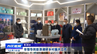 市领导到彭泽调研乡村振兴工作