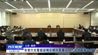 市老六大集团巡视反馈问题整改工作动员部署会召开