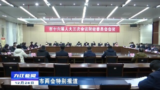 【聚焦两会】市十六届人大三次会议召开财经委员会会议