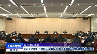 全市工业经济、开放型经济、数字经济、开发区综合考核调度推进会召开