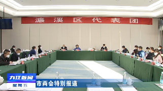 【聚焦两会】廖奇志参加濂溪区代表团审议