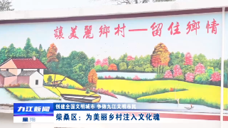 【创建全国文明城市】柴桑区：为美丽乡村注入文化魂 