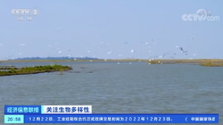 【央媒看九江】关注生物多样性 保护生物多样性 共建生命共同体
