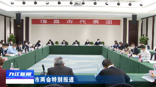 【聚焦两会】市十六届人大三次会议人大代表分团审议政府工作报告
