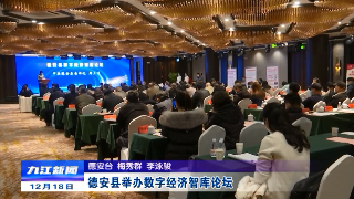 德安县举办数字经济智库论坛