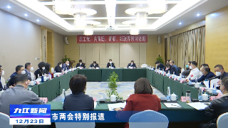 【聚焦两会】蒋文定参加市政协联组讨论