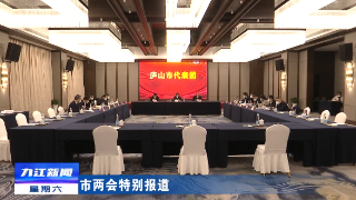 【聚焦两会】市人大代表分团审议市人大常委会工作报告和“法检”两院工作报告