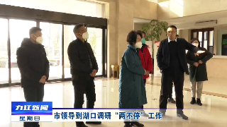 市领导到湖口调研“两不停”工作