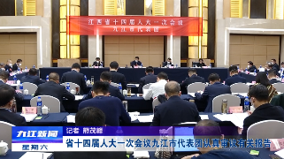 省十四届人大一次会议九江市代表团认真审议有关报告，蒋文定廖奇志等参加审议