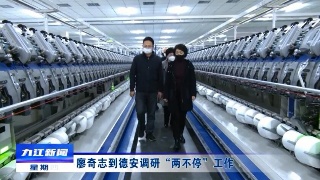 廖奇志到德安调研“两不停”工作