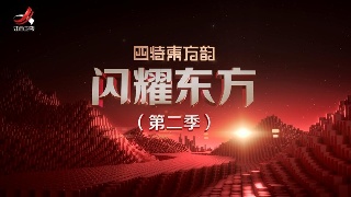 【闪耀东方】（第二季）——第九集 丁一凡《中国经济 不惧外部挑战》