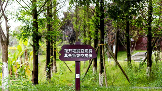 【文明旅游】寒假出游 文明相伴
