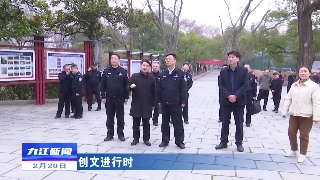 市领导到浔阳区调研督导三大专项行动和全国文明城市创建工作