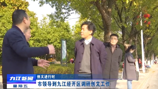 市领导到九江经开区调研创文工作