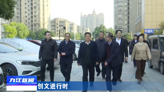 严盛平到浔阳区、九江经开区督导调研创文工作