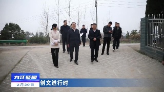 市领导到柴桑区调研全国文明城市创建工作