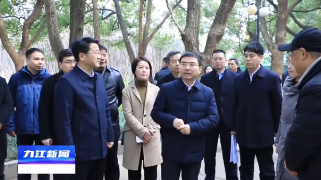 蒋文定到浔阳区现场调度闲置土地开发利用工作