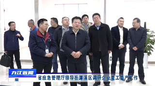 省应急管理厅领导在濂溪区调研企业复工复产工作，应炯陪同调研