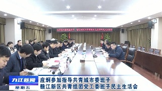 应炯参加指导共青城市委班子、赣江新区共青组团党工委班子民主生活会
