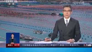 央视《共同关注》关注九江加强水产品良种培育情况
