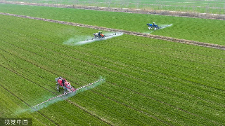 【03•06早安丨九江】九江接下来天气，25°C！九江1人获评全国三八红旗手
