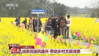【央媒看九江】央视关注九江乡村文旅消费