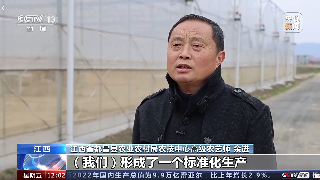 【央媒看九江】央视《新闻直播间》关注九江抢抓农时做好春耕备耕工作