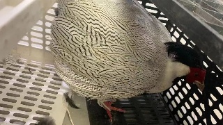 【03•10早安丨九江】九江5所民办学校被撤销资质；为期4个月禁渔期开启