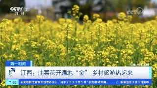 【央媒看九江】央视《第一时间》关注九江油菜花绚丽绽放，乡村旅游热起来