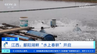 【央媒看九江】央视《第一时间》关注九江鄱阳湖畔“水上春耕”