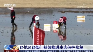 【央媒看九江】央视《新闻联播》等多个栏目关注九江持续推进生态保护修复