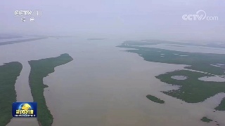 【央媒看九江】央视《新闻联播》播发|鄱阳湖通江水位面积今年首次突破1000平方公里
