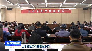 全市民政工作座谈会举行