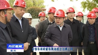 市领导调研督导两湖综合治理工程