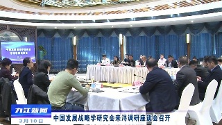 中国发展战略学研究会来浔调研座谈会召开，应炯出席并讲话