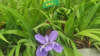 【04•13早安丨九江】九江这里实行临时交通管制；快来为我市候选点赞；公安交警曝光车窗抛物交通违法行为