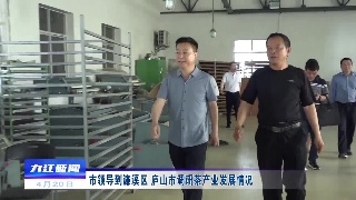 市领导到濂溪区 庐山市调研茶产业发展情况