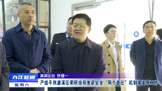 严盛平到濂溪区调研指导食品安全“两个责任”机制落实等工作