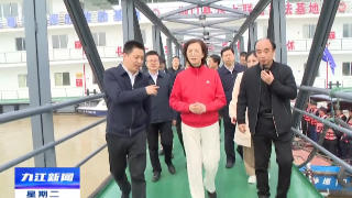 台盟中央调研组在湖口调研长江生态环境保护工作，章剑飞陪同