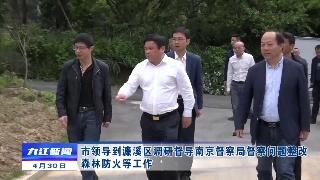 市领导到濂溪区调研督导南京督察局督察问题整改、森林防火等工作