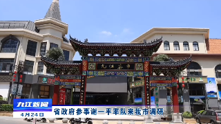 省政府参事谢一平率队来九江市调研