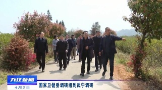 国家卫健委调研组到武宁调研