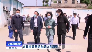 市政协调研组在湖口县调研