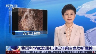 【央媒看九江】央视《新闻直播间》报道九江武宁发现以九江命名的古鱼类化石九江江夏鱼