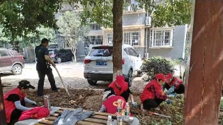 【创建全国文明城市 巩固提升国卫成果】植树种花添绿意，我为创文做贡献