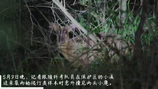 【05•11早安丨九江】九江这几名教师入选全国培养对象；九江一工人手臂被吞入搅拌机 消防紧急救援；鄱阳湖进入最佳通航期