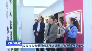 安庆市人大调研组来九江调研未成年人检察工作