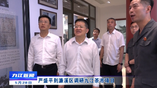 严盛平到濂溪区调研九江茶市项目