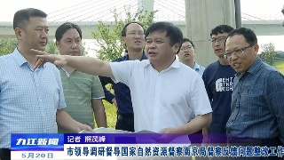 市领导调研督导国家自然资源督察南京局督察反馈问题整改工作